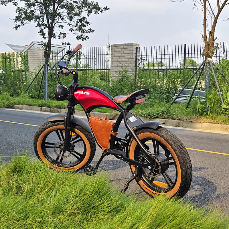 Hidoes B10