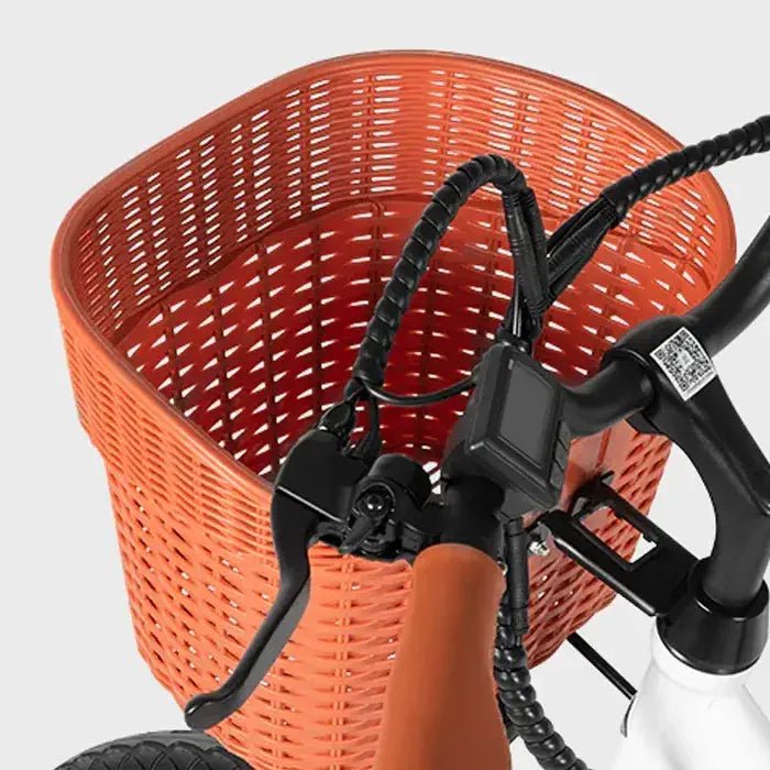 DYU C6 Pro - Elcykel - Wheelyshop