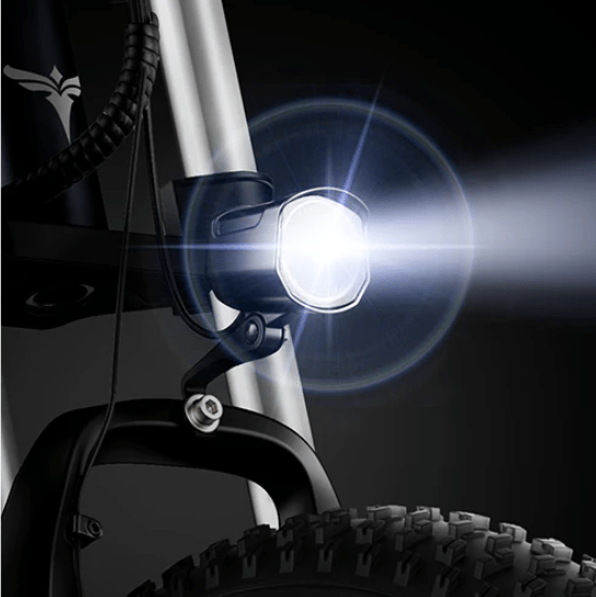ENGWE X20 - Elcykel - Wheelyshop