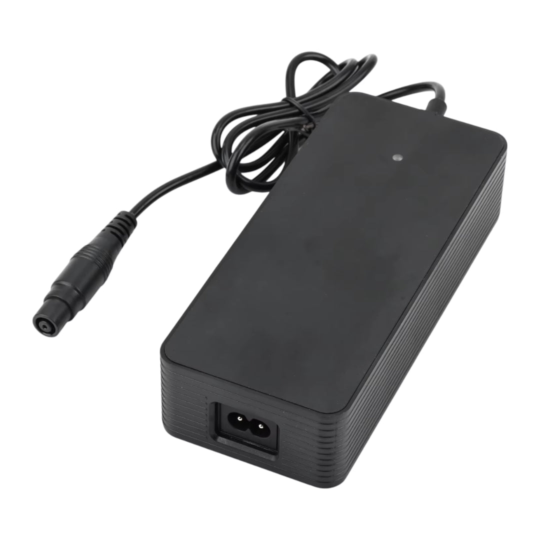 Snabbladdare Xiaomi 4 Pro Plus/Max + Ninebot ZT3 - Tillbehör - Wheelyshop