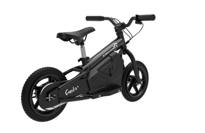 EVERCROSS EV06M