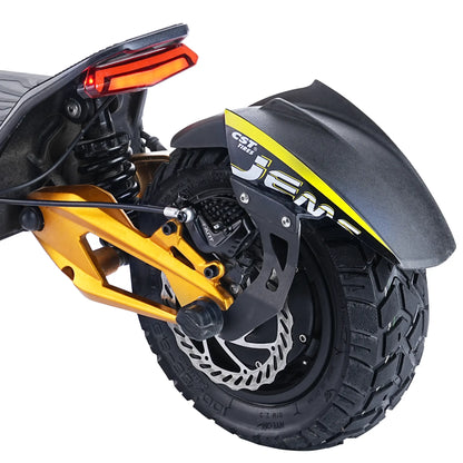 HILEY TIGER KING RS