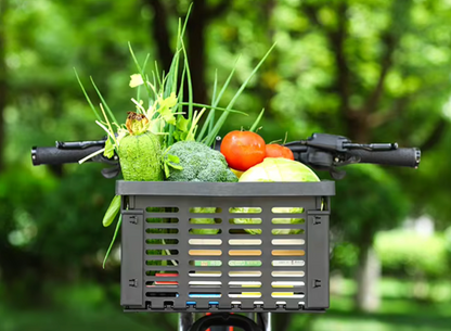 Smart dog basket