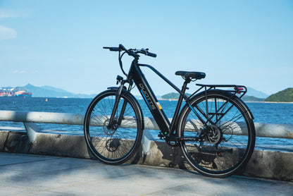 Duotts C29 Lite - Elcykel - Wheelyshop