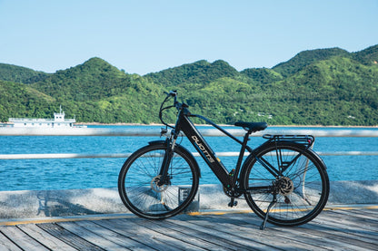 Duotts C29 Lite - Elcykel - Wheelyshop