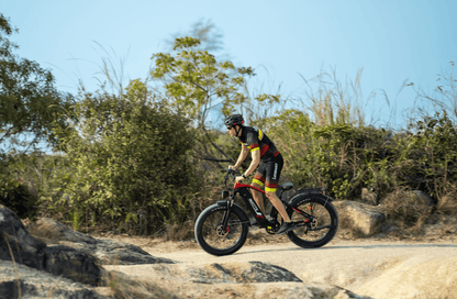 Duotts F26 Pro - Elcykel - Wheelyshop
