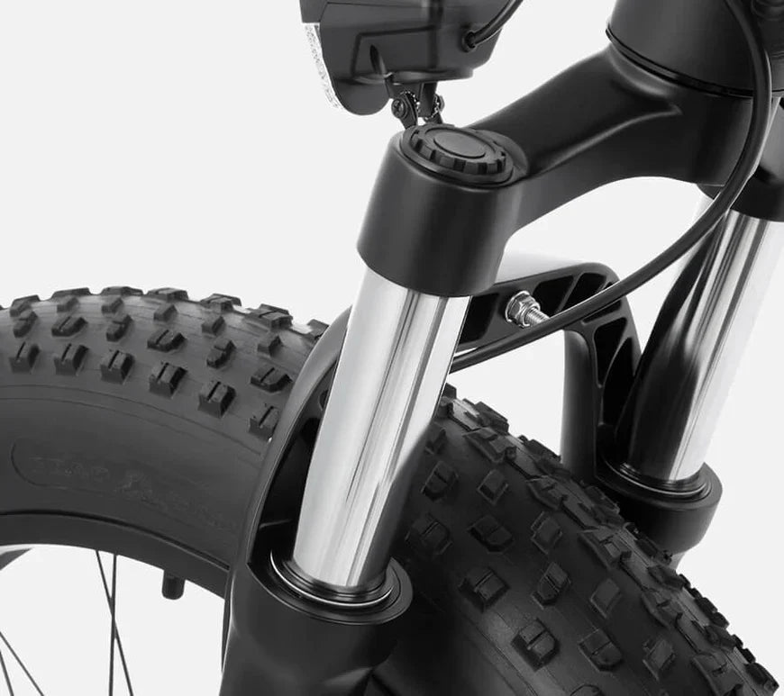 DYU King 750 - Elcykel - Wheelyshop