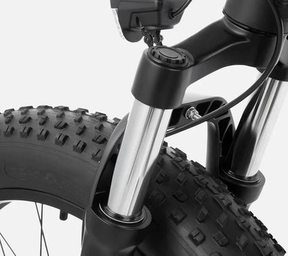 DYU King 750 - Elcykel - Wheelyshop