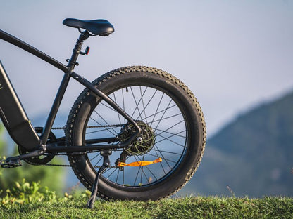 DYU King 750 - Elcykel - Wheelyshop