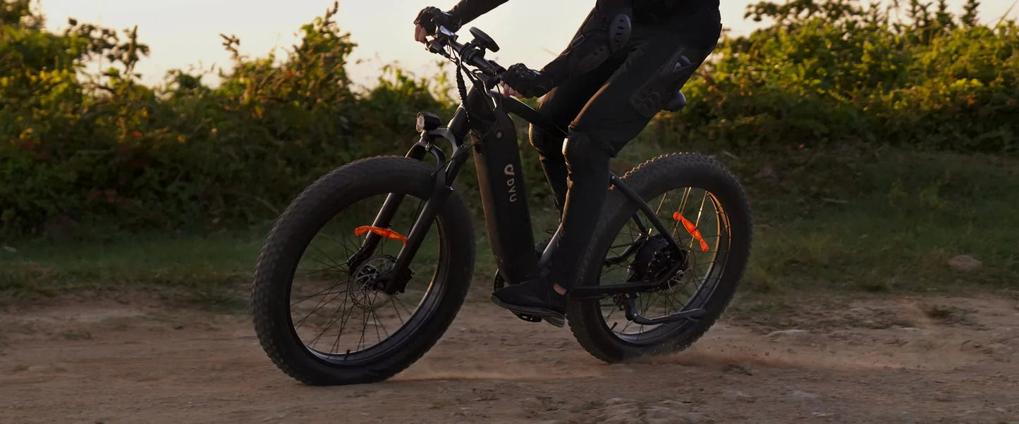 DYU King 750 - Elcykel - Wheelyshop