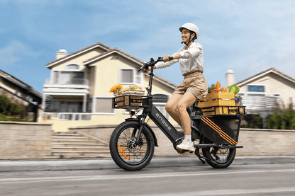 ENGWE LE20 - Elcykel - Wheelyshop