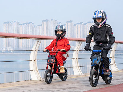 EVERCROSS EV12M - Elcykel - Wheelyshop