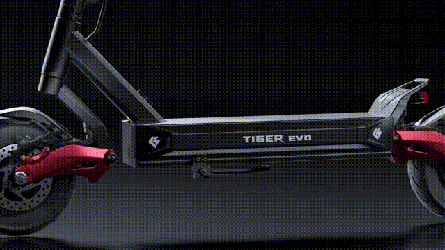 HILEY TIGER EVO GTR