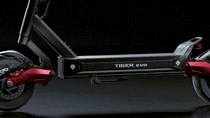 HILEY TIGER EVO GTR