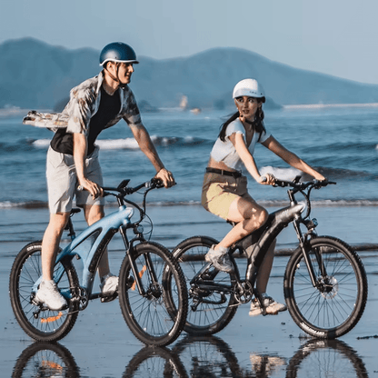 HX Q5 - Elcykel - Wheelyshop