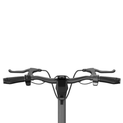 Punk Rider Pro - Elsparkcykel - Wheelyshop