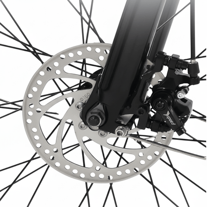 VARUN C26 - 2 - Elcykel - Wheelyshop